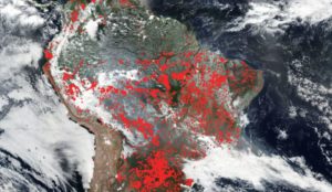 Arrasador incendio en el Amazonas. La selva del Amazonas en Brasil se consume con los incendios. En lo que va de este año se ha registrado un aumento del 83% de los incendios en la región en comparación con el año pasado.
