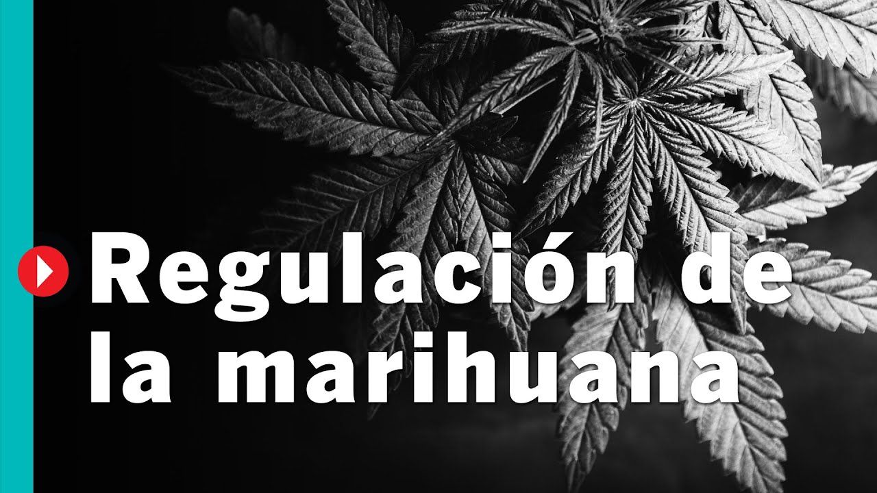 Â¿CÃ³mo tramitar tu permiso de uso adulto de Marihuana o Cannabis en MÃ©xico?