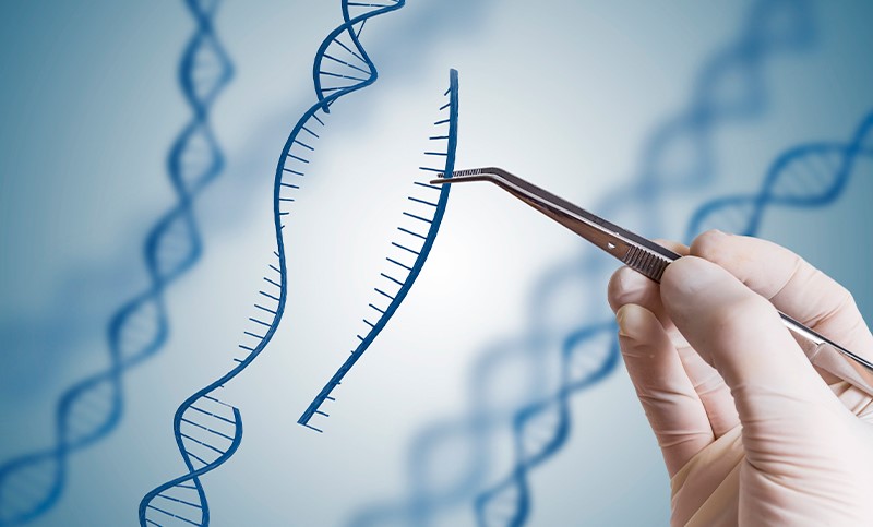 Impulsores genéticos: La ciencia para controlar poblaciones .