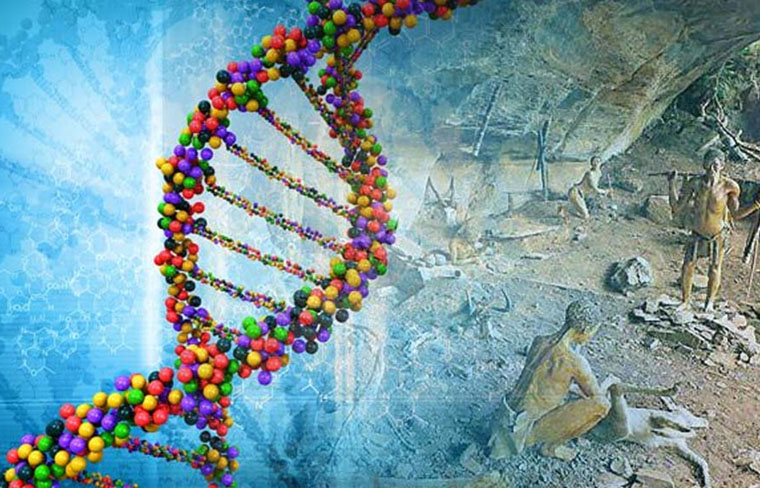 La Alta Tecnología ya puede modificar el Genoma Humano