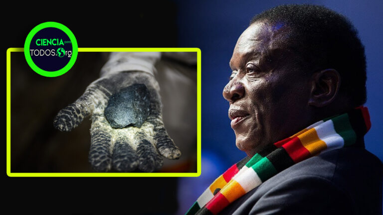 Zimbabwe prohíbe la exportación de litio en bruto