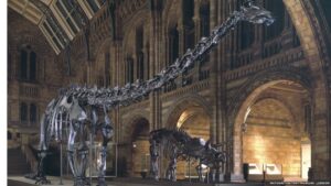 THE NATURAL HISTORY MUSEUM IN LONDON 
