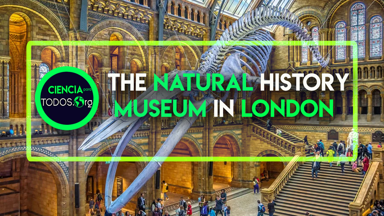 The Natural History Museum in London UK