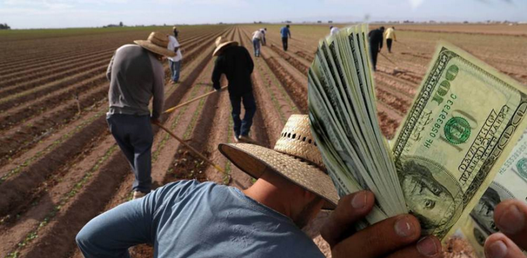 México se convierte en el segundo receptor de remesas más grande del mundo